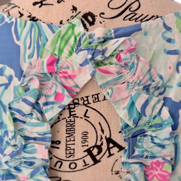 LILLY PULITZER | Fiesta Stretch Dress in Coastal Blue/Lion Around, size 2 - Picture 5 of 9